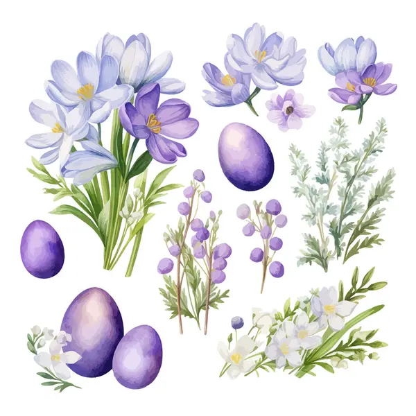 Krokusy Květiny Šeříkové Velikonoční Vajíčka Akvarel Vektorová Ilustrace Vektorová Grafika