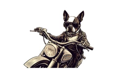 Motosikletli el çizilmiş gözlüklü bir Bulldog. Vektör illüstrasyon tasarımı.