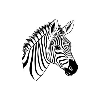 Tek renkli Zebra Kafa Sanatsal El çizim stili. Vektör illüstrasyon tasarımı