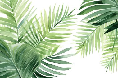 Tropical Palm Leaves Watercolor style. Vector illustration design. clipart