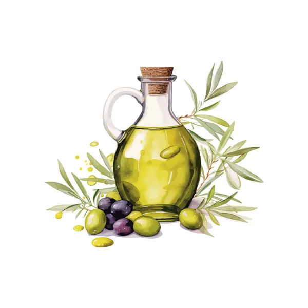 Akvarelový Olivový Olej Směs Oliv Návrh Vektorové Ilustrace Royalty Free Stock Ilustrace