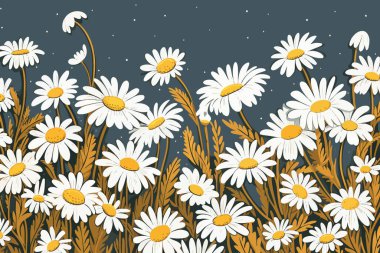 Karanlık Arkaplan Üzerine Şekillendirilmiş Daisy Field İllüstrasyonu. Vektör illüstrasyon tasarımı.