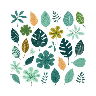 Colorful Tropical Leaf Illustration Collection. Vector illustration design. clipart