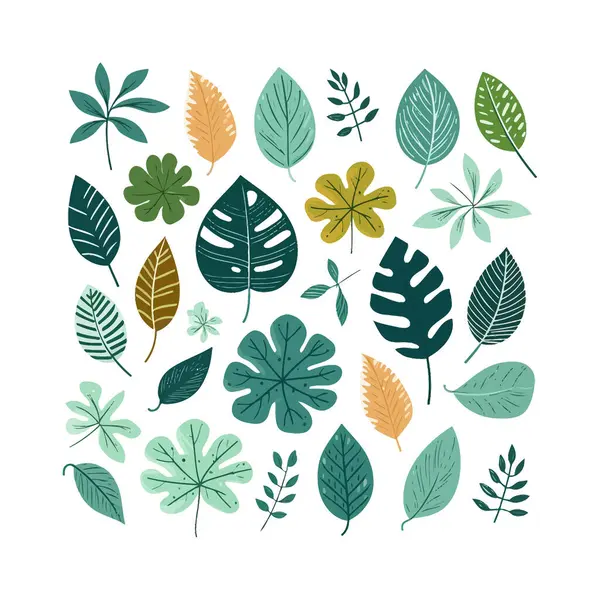 stock vector Colorful Tropical Leaf Illustration Collection. Vector illustration design.