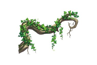 Lush Green Leaves 'li çarpık sarmaşık. Vektör illüstrasyon tasarımı.
