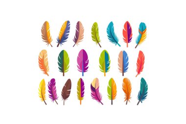 Collection of Colorful Feathers in Various Designs. Vector illustration design. clipart