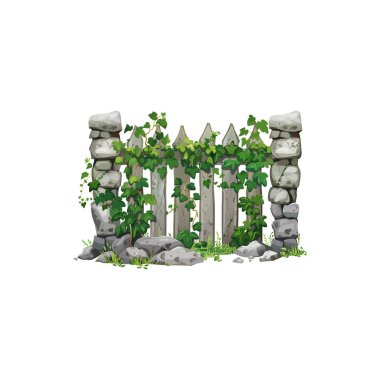 Ivy Illustration ile Stone Fence. Vektör illüstrasyon tasarımı.