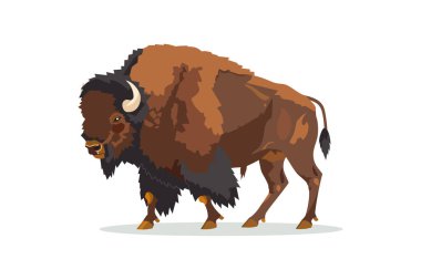 Powerful Bison. Vector illustration design. clipart