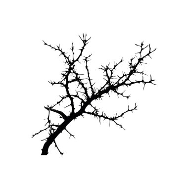 Sharp Thorny Branch 'ın silueti. Vektör simgesi tasarımı.