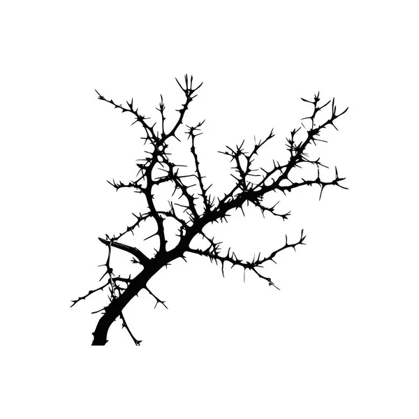 Sharp Thorny Branch 'ın silueti. Vektör simgesi tasarımı.