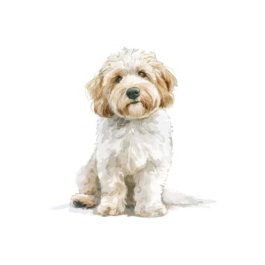 Şirin pofuduk bir köpeğin suluboya çizimi. Vektör illüstrasyon tasarımı.