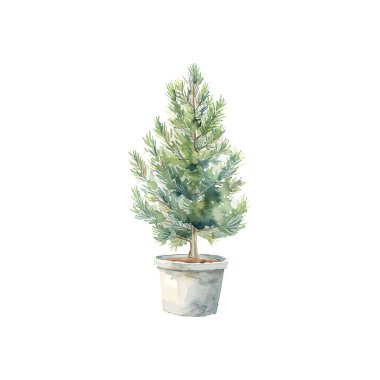 Watercolor illustration of a potted pine tree. Vector illustration design. clipart