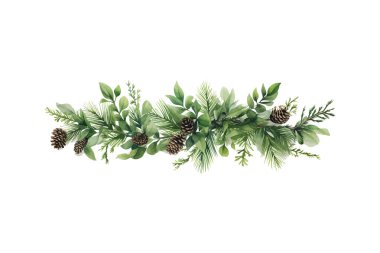 Çam kozalaklı Evergreen Garland suluboya. Vektör illüstrasyon tasarımı.