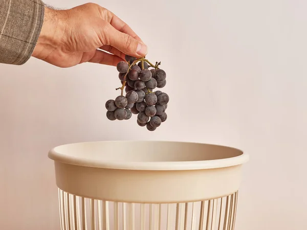 Expired grapes are thrown away for disposal and recycling.  Organic waste.