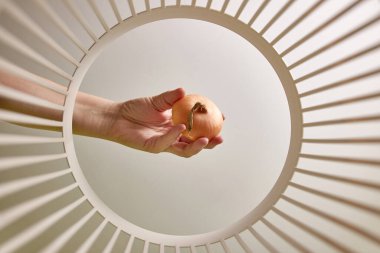 Expired onions are thrown into the trash. View from below. The concept of recycling and waste disposal.