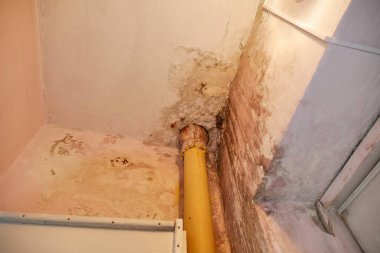 Kanalizasyon borusuyla ıslak, mantar duvarı.