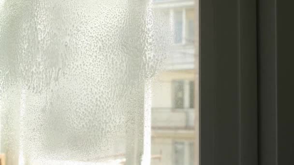 Das Fenster Wird Mit Einem Tuch Und Spülmittel Gewaschen Hausreinigung — Stockvideo