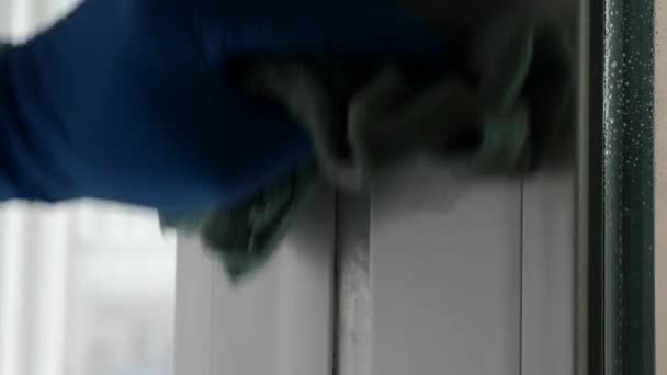 Вікно Миють Тканиною Миючим Засобом Прибирання Будинку Домашнє Завдання — стокове відео