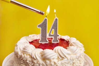 Bayramlık pastaya sıkışmış 14 numara şeklinde bir mum yakılıyor. Bir doğum gününü ya da tarihi bir olayı kutluyoruz. Kutlamanın doruk noktası..