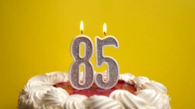 Tatil pastasına sıkışmış 85 numara şeklinde bir mum söndürülür. Bir doğum gününü ya da tarihi bir olayı kutluyoruz. Kutlamanın doruk noktası..