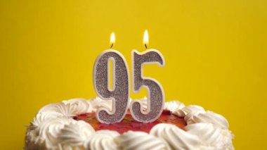 Bir tatil pastasına sıkışmış 95 numara şeklinde bir mum söndürülür. Bir doğum gününü ya da tarihi bir olayı kutluyoruz. Kutlamanın doruk noktası..