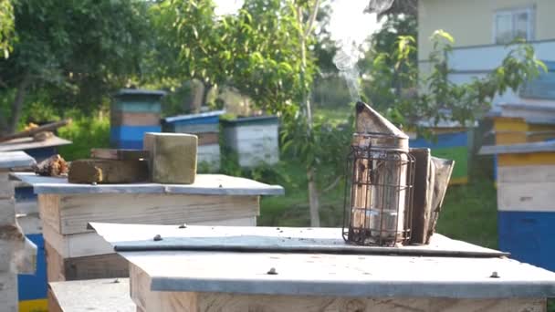 養蜂家のパイプは巣の上に立って煙を吹く 養蜂と蜂蜜の生産 — ストック動画