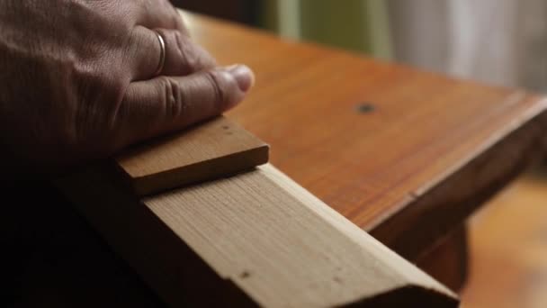 Ein Holzbrett Wird Mit Der Säge Zersägt Schreinerarbeiten Ein Werkzeug — Stockvideo