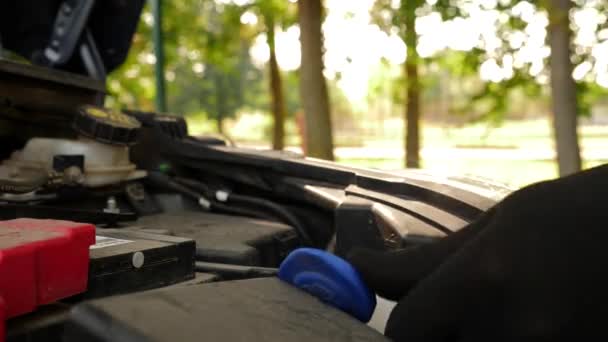 Рідина Очищення Лобового Скла Вливається Відповідну Ємність Догляд Обслуговування Автомобілів — стокове відео