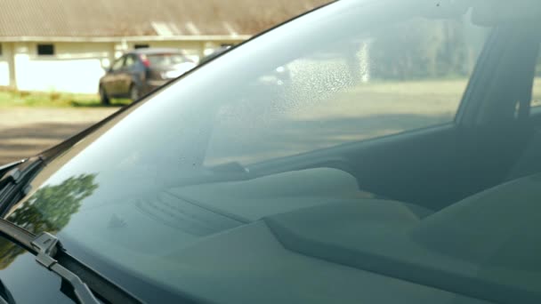 車のフロントガラスは ラグと洗剤で洗浄されています 車のケアとメンテナンス — ストック動画