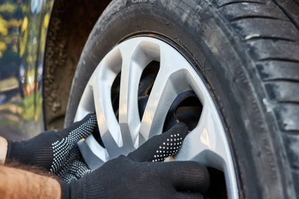 A decorative cap is attached to the wheel rim of the car. Care and maintenance of cars.