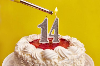 Bayramlık pastaya sıkışmış 14 numara şeklinde bir mum yakılıyor. Bir doğum gününü ya da tarihi bir olayı kutluyoruz. Kutlamanın doruk noktası..