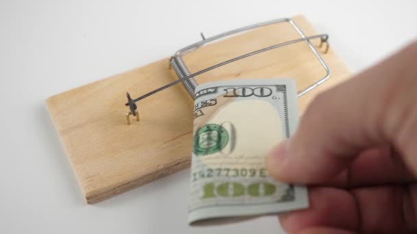 一张100美元的钞票放在捕鼠器里 金融陷阱的概念 — 图库视频影像