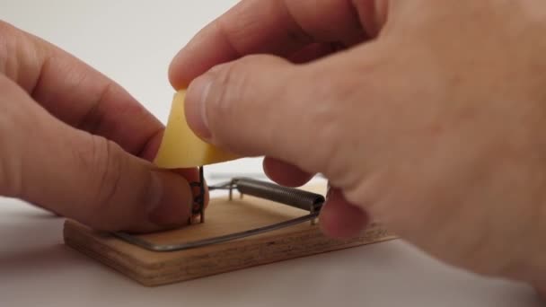 Ein Stück Käse Wird Die Mausefalle Gelegt Finanzfallen Konzept — Stockvideo