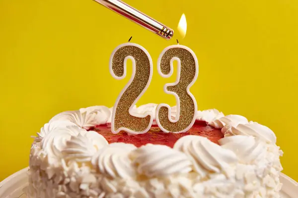 A candle in the form of the number 23, stuck in a holiday cake, is lit. Celebrating a birthday or a landmark event. The climax of the celebration.