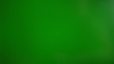 Adam yeşil arka planda 