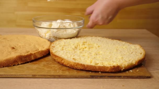 Vulling Aan Taart Toevoegen Kook Thuis Een Feestelijke Taart Langzame — Stockvideo
