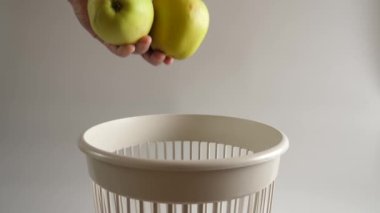Tarihi geçmiş elmalar geri dönüşüm için çöpe atılır. Yavaş çekim.