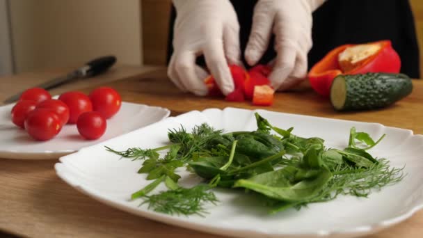 Pimentão Vermelho Acrescenta Salada Vegetal Preparação Salada Vegetal — Vídeo de Stock