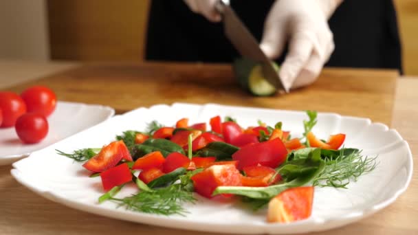 Pepino Corta Para Salada Vegetal Preparação Salada Vegetal Movimento Lento — Vídeo de Stock