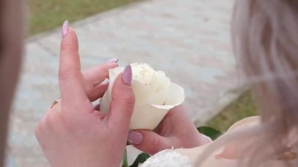 Дівчина Ніжно Торкається Пелюсток Білої Троянди Долонями Ніжність Чуттєвість — стокове відео