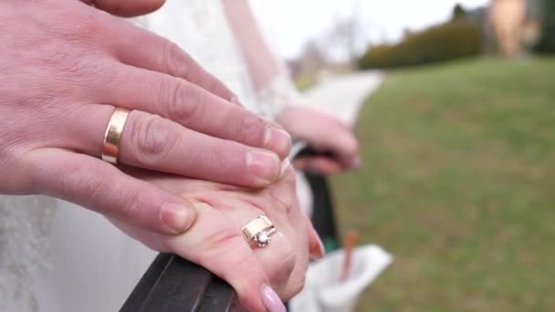 Der Bräutigam Streichelt Sanft Die Hand Der Braut Liebe Und — Stockvideo