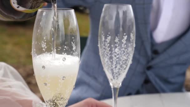 Gli Sposi Alzano Calici Champagne Celebrando Loro Matrimonio — Video Stock