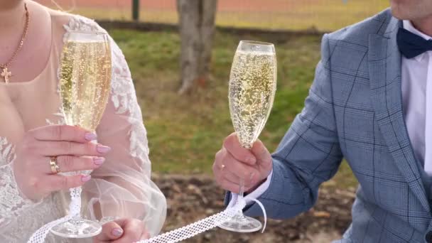 Молодые Люди Поднимают Бокалы Шампанского Празднуя Свой Брак — стоковое видео