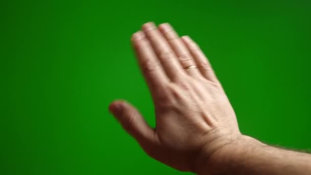 Vifta Palm Hälsning Grön Bakgrund — Stockvideo