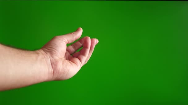 Mänsklig Hand Visar Varför Gör Denna Gest Med Fingrar Grön — Stockvideo