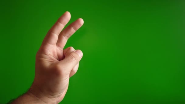Palce Dłoni Pokazują Uszy Królika Zielonym Tle — Wideo stockowe