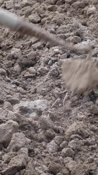Tohumlar Elle Toprakla Kaplıdır Tarım Dikey Video — Stok video