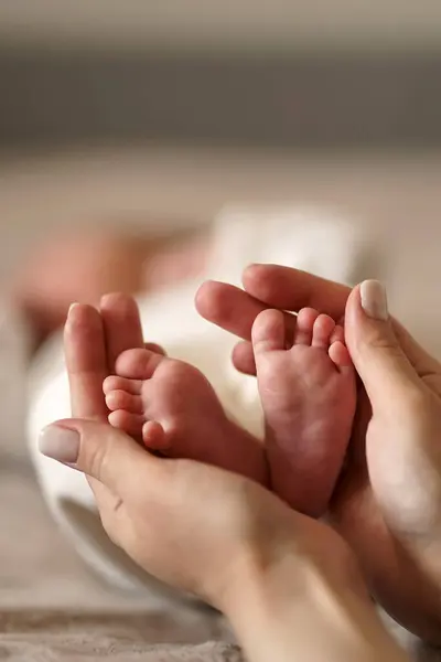 母親は優しく新生児の足を手のひらに抱えている 母性の概念 ロイヤリティフリーのストック写真