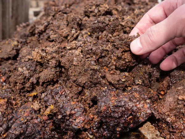 Merva waste from the processing of wax raw materials. Making beeswax at home.