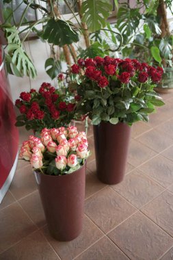 Vazoda büyük bir buket pembe gül..